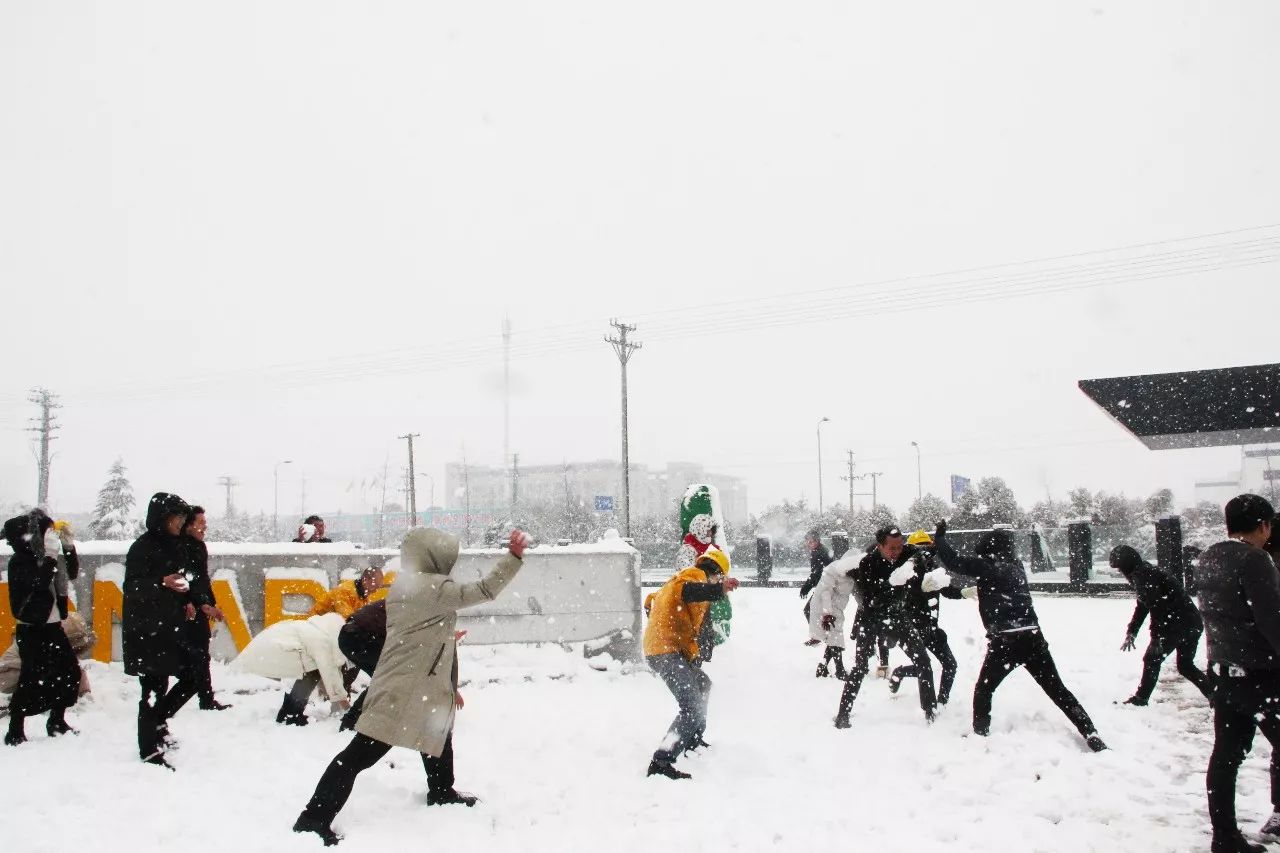 bifa·必发(中国集团)唯一官方网站